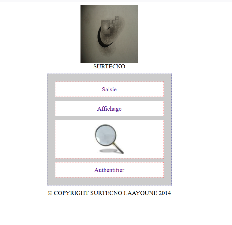 Surtecno Web